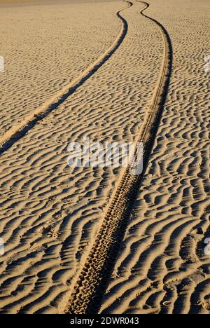 tyre tracks in wet sand, holkham beach, north norfolk, england Stock Photo