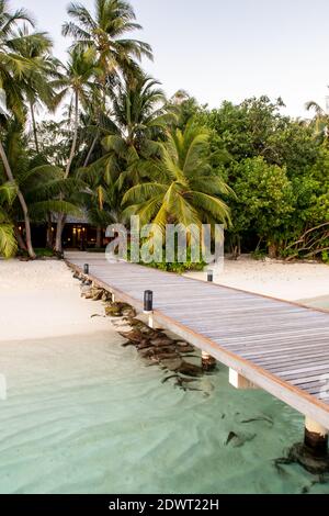Wooden seaboard leading to tropical island with lush palm trees and white sany beach, Maldives. Stock Photo