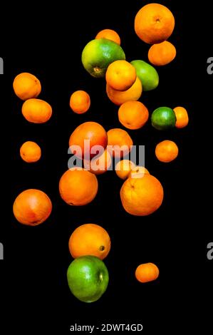 Falling fruits, citruses, oranges, pomelo, limes, tangerines and grapefruits isolated on black background Stock Photo