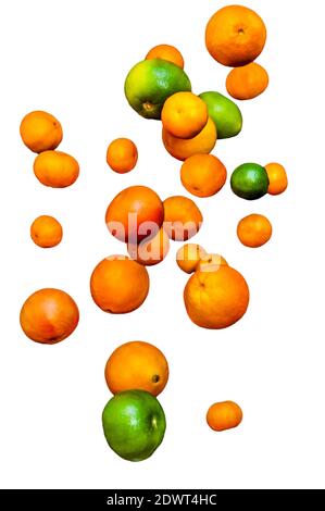Falling fruits, citruses, oranges, pomelo, limes, tangerines and grapefruits isolated on white background Stock Photo