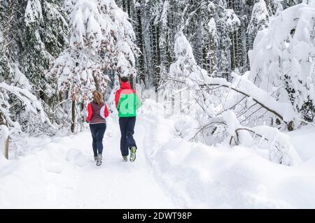 Two joggers during running workout in wintry nature Stock Photo
