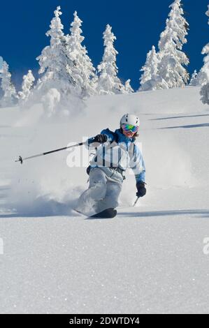 Female freerider in powder snow Stock Photo