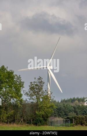 Single white three-bladed wind turbine seen through trees on wind farm County Tyrone, Northern Ireland. Stock Photo