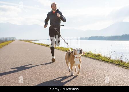 Morning jogging with a pet: a man running together with his beagle dog by the asphalt way with a foggy mountain landscape. Canicross exercises and act Stock Photo