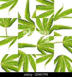 abstract marijuana bright color leaf background seamless pattern Stock Photo
