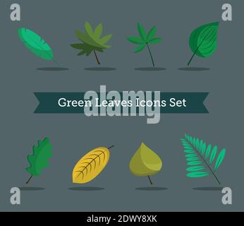bundle of eight leafs plants and lettering in ribbon flat style icons Stock Vector