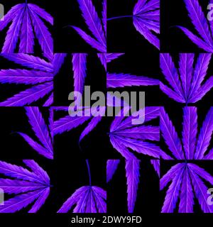 abstract marijuana night color leaf background seamless pattern Stock Photo