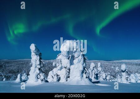 Spectacular Northern lights, Aurora borealis display during a cold and freezing winter night over snow covered taiga forest lit by full Moon ight in R Stock Photo