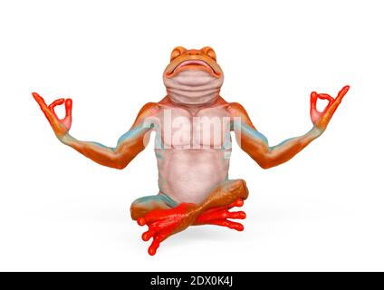 frog is doing yoga in isometric view, 3d illustration Stock Photo - Alamy