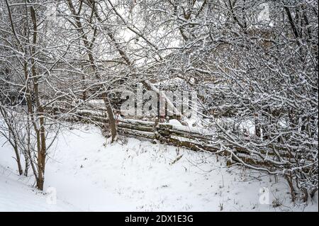 snow covered landscape with rail fence Stock Photo