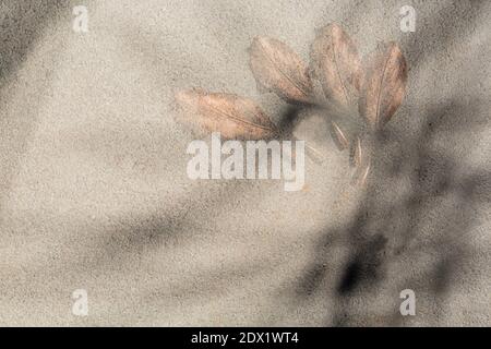 WA18810-00...WASHINGTON - A single leaf on a cement step photographed with multiple exposures and camera movement. Stock Photo