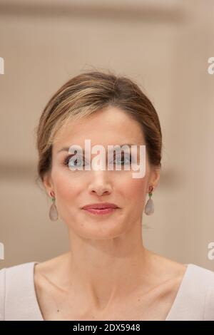 Queen Letizia of Spain attends luncheon at the Elysee palace in Paris, France, on July 22, 2014. Photo Thierry Orban/ABACAPRESS.COM Stock Photo