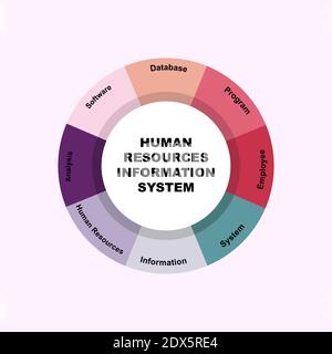 Diagram concept with HRIS - Human Resources Information System text and keywords. EPS 10 isolated on pink background Stock Vector