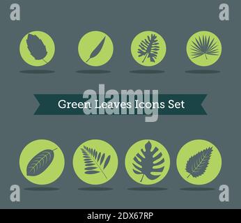 bundle of eight leafs plants and lettering in ribbon silhouette style icons Stock Vector