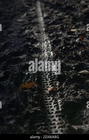 4 - Pattern of tyre tread imprinted in mud runs down the middle of this vertical image. Lit by evening sunset this enhances the surface texture. Stock Photo