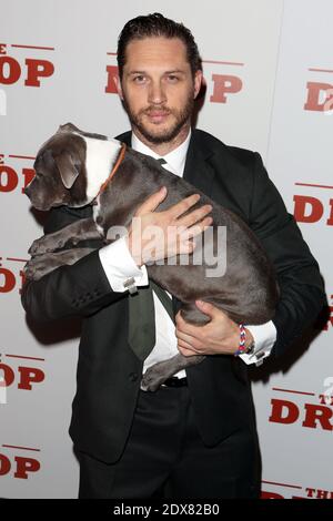 The drop 2014 tom hardy hi-res stock photography and images - Page 2 - Alamy