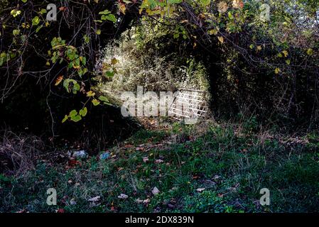 Tzoumerka, Epirus, Greece - October 28, 2017: An abandoned bed in the nature Stock Photo