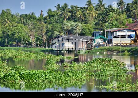 Thai houses on Nakhon Chai Si river, Thailand. Green water hyacinth floating on the river and coconut trees in the background. Stock Photo