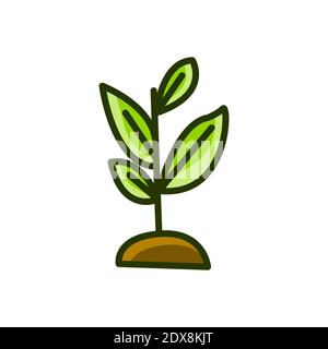 seed tree growing colorful icon vector illustration Stock Vector