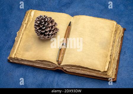 blank antique leather-bound journal with decked edge handmade paper pages with a stylish pen and a deocrative pine cone against blue handmade paper, j Stock Photo