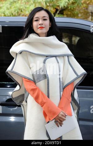 Lee Ha attending Chloe's Spring-Summer 2015 Ready-To-Wear collection show held at the Grand Palais in Paris, France, on September 28, 2014. Photo by Aurore Marechal/ABACAPRESS.COM Stock Photo