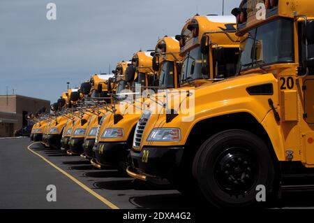 Many yellow school buses in a row in a parking lot of Cocalico high school Stock Photo