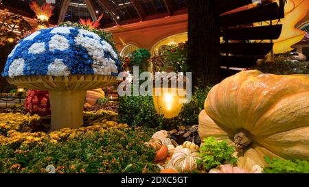 2020 Thanksgiving Decorations, Bellagio Conservatory & Botanical Gardens, Las Vegas, USA Stock Photo