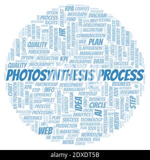Photosynthesis Process typography word cloud create with text only. Stock Photo