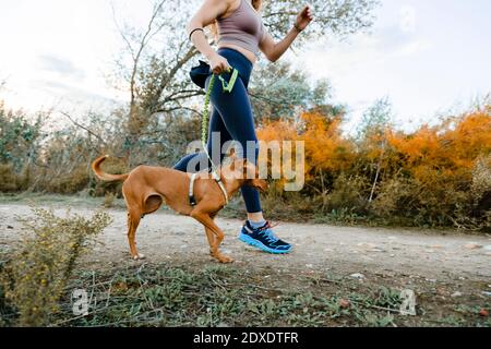 Woman running with her dog in canicross style at countryside Stock Photo