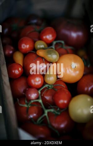 fresh red tomatoes in a basket on a white background Stock Photo - Alamy