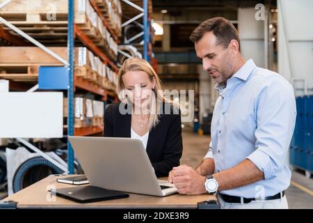 Female and male entrepreneurs concentrating while working on laptop Stock Photo