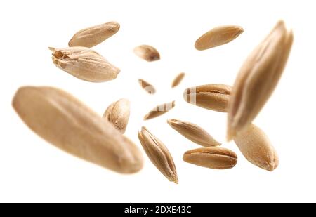 Oat grains levitate on a white background Stock Photo