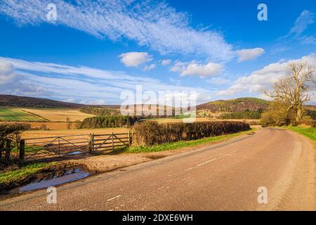 Empty country road in rural landscape on sunny day Stock Photo