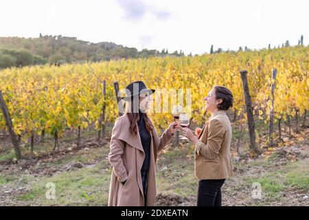 Cheerful female colleagues toasting wineglass while standing in vineyard during autumn Stock Photo