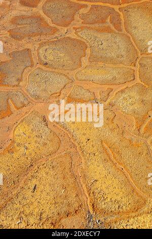 Dried cracked riverbed Stock Photo