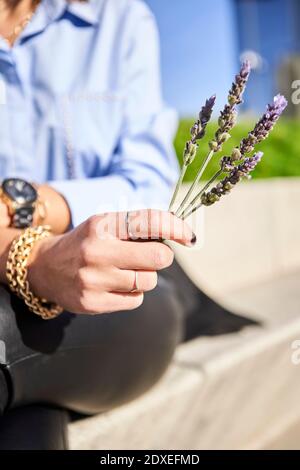Businesswoman holding lavender plant on sunny day Stock Photo