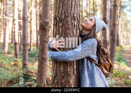 Female hiker embracing tree trunk while exploring in Cannock Chase woodland Stock Photo