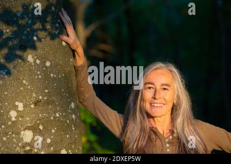 Four hands touching a tree trunk stock photo