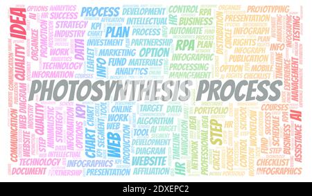 Photosynthesis Process typography word cloud create with text only. Stock Photo