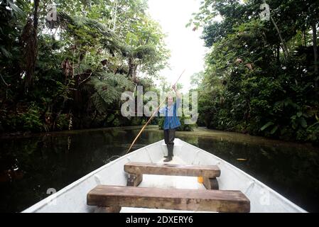 Senior Guarani man oaring in canoe at Napo River, Ecuador Stock Photo