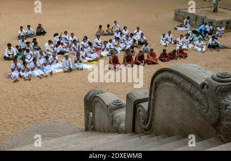 Buddhist monks and worshippers pray below the Mahavihara and Sri Maha Bodhi tree at Anuradhapura in Sri Lanka. Stock Photo