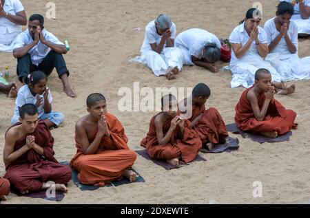 Buddhist monks and worshippers pray below the Mahavihara and Sri Maha Bodhi tree at Anuradhapura in Sri Lanka. Stock Photo