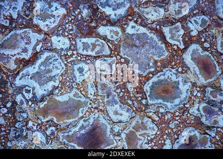 Dried riverbed with rocks Stock Photo
