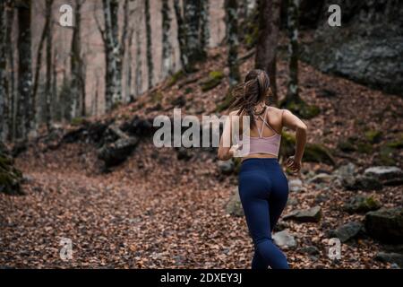 Young sportswoman running in forest during autumn at Ordesa National Park, Huesca, Spain Stock Photo