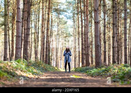 Female hiker exploring in Cannock Chase woodland during winter season Stock Photo