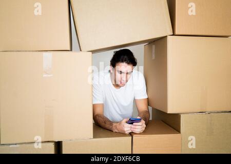 Young man using mobile phone leaning on cardboard boxes Stock Photo