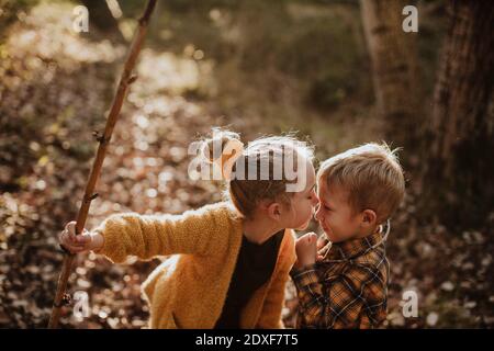 Sister holding stick while kissing brother in forest Stock Photo