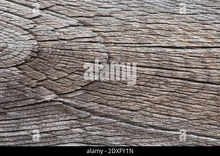 A cracked wood texture. texture of very old cracked wood. for rustic and rural background. background for Christmas, wedding, birthday and other event Stock Photo
