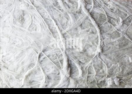 A Macro photo texture of liquid wallpaper. The fiber structure is also similar to mineral wool Stock Photo