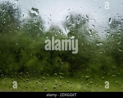 Raindrops on window with forest blurred in background Stock Photo